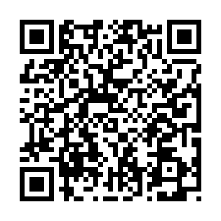 QR code for R603729