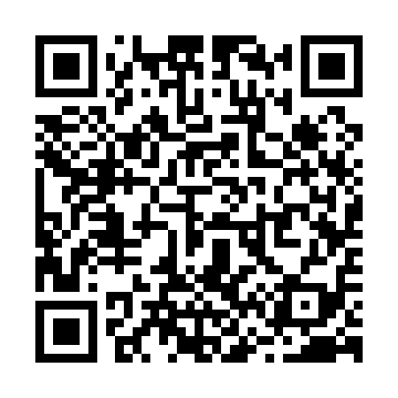 QR code for R63119