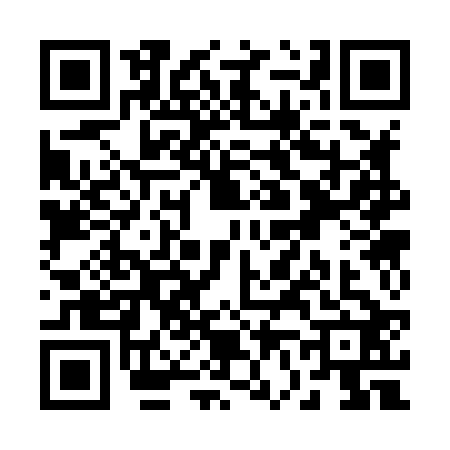 QR code for R638228