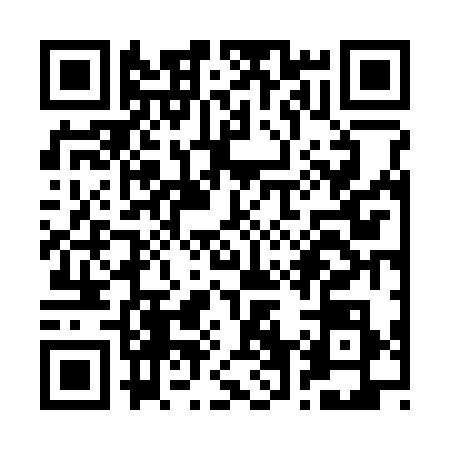 QR code for R663386