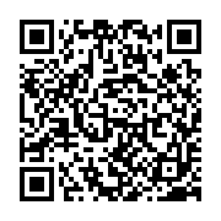 QR code for R67393