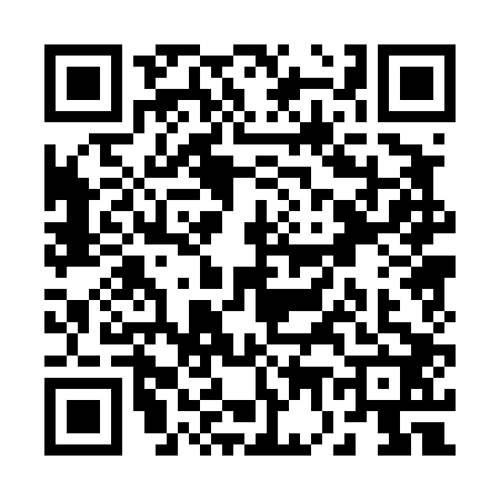 QR code for R704028