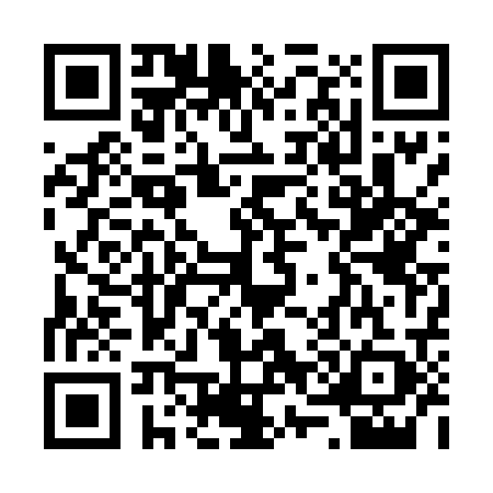 QR code for R704295