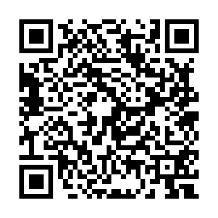 QR code for R738506