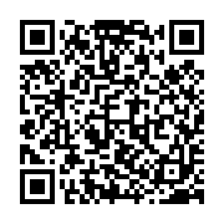 QR code for R87493