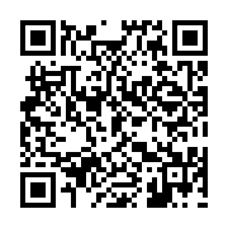 QR code for R98311