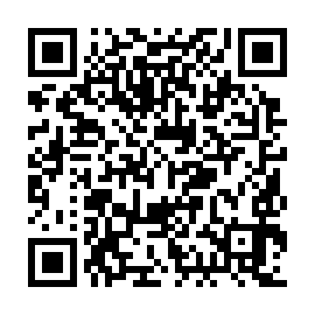 QR code for RAA393