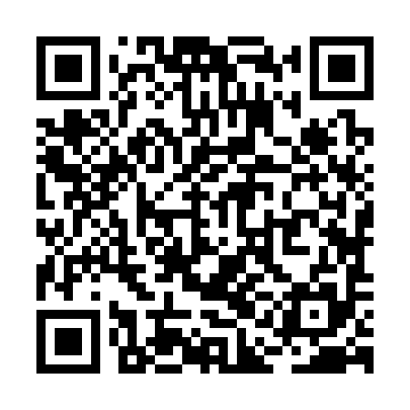 QR code for RAJ395