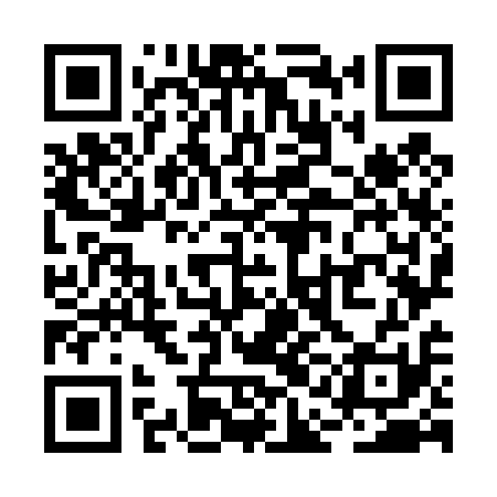 QR code for RAO411