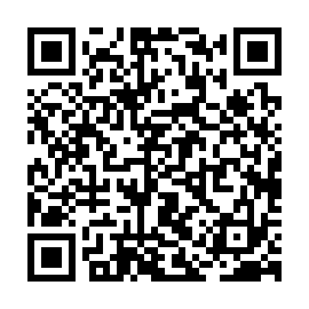 QR code for RAP333