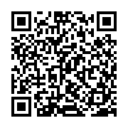 QR code for RAY222