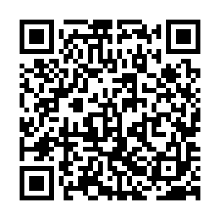 QR code for RBN393