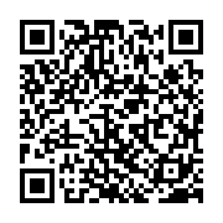 QR code for RDZ371