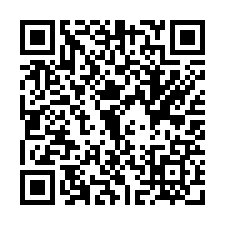 QR code for RF93295