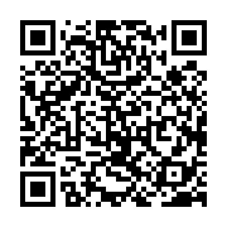 QR code for RFP538