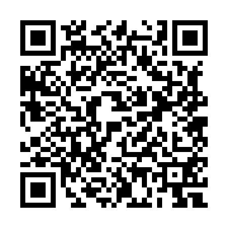 QR code for RG28501