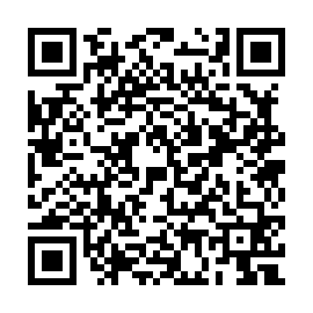 QR code for RG38602