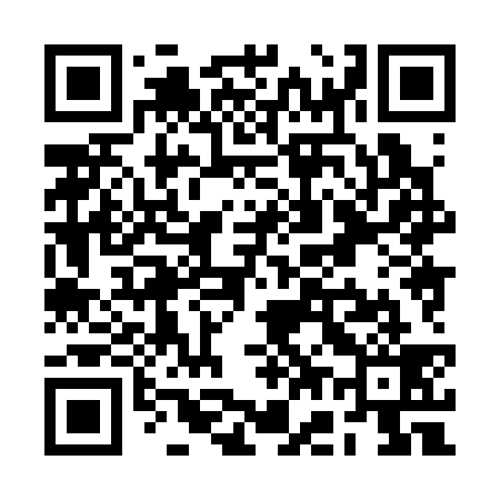 QR code for RG8339