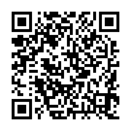 QR code for RGI291