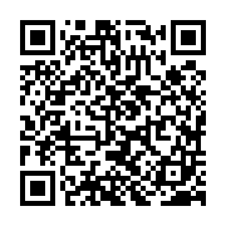 QR code for RIZ503