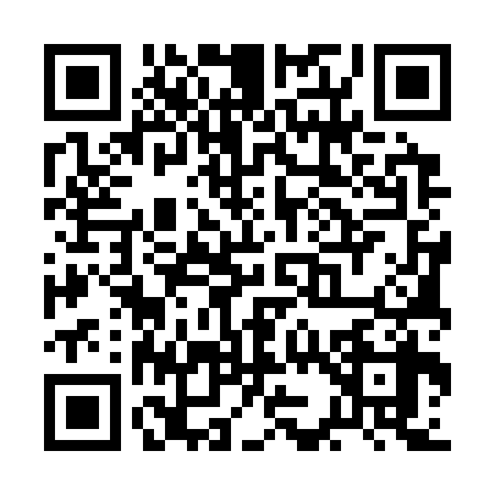 QR code for RK53381