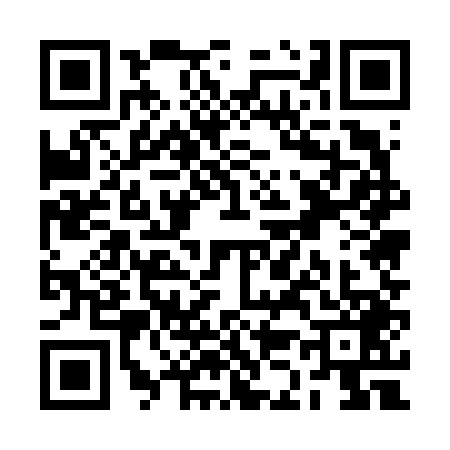 QR code for RK56493