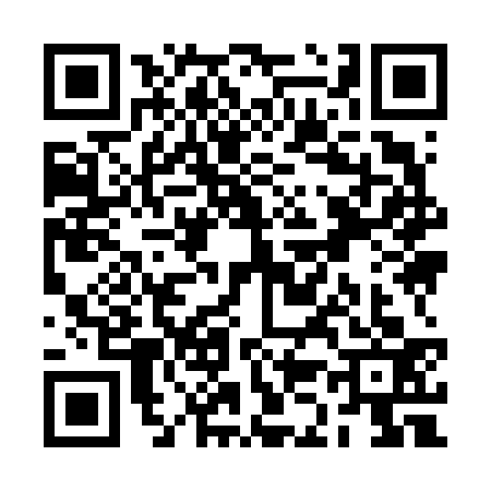 QR code for RK96333