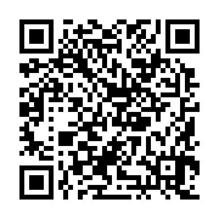QR code for RKI384