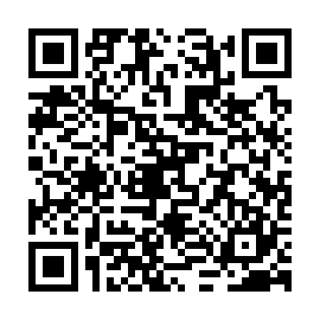 QR code for RL13273