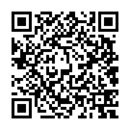 QR code for RO64397