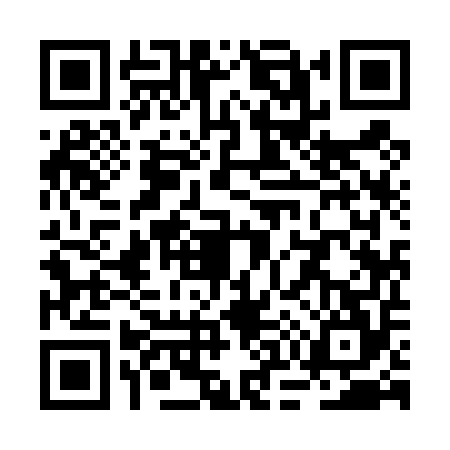 QR code for RO94541