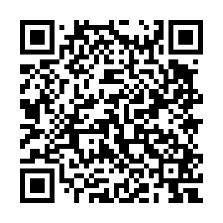 QR code for ROI441