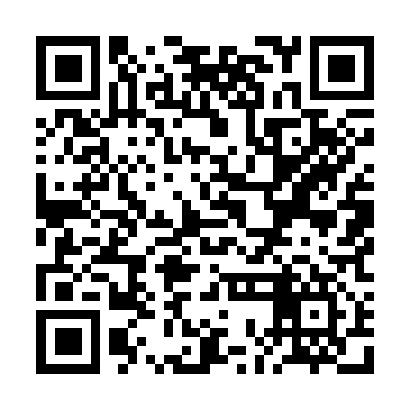 QR code for ROM317