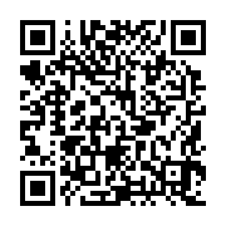 QR code for ROY383