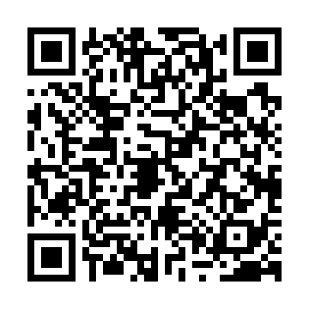 QR code for RP07387