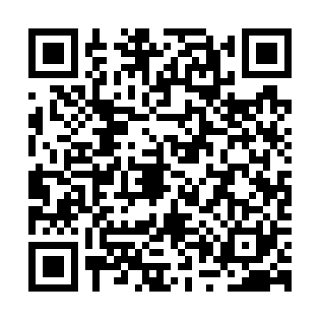 QR code for RP17219