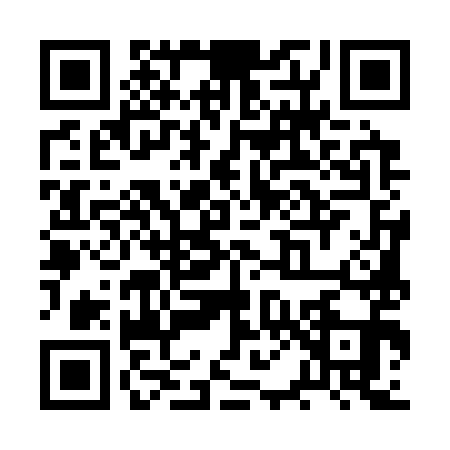 QR code for RP53911