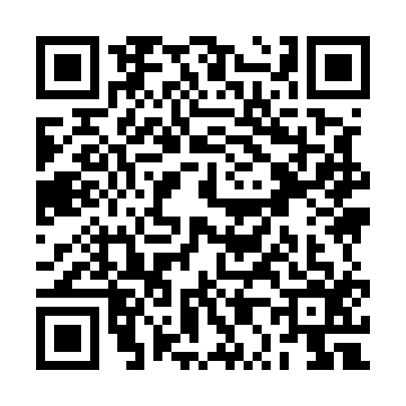 QR code for RP95161