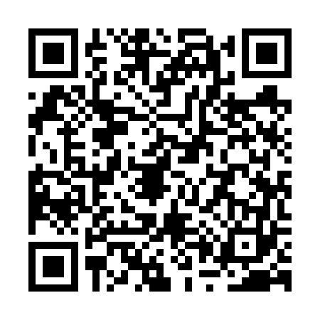 QR code for RP96631
