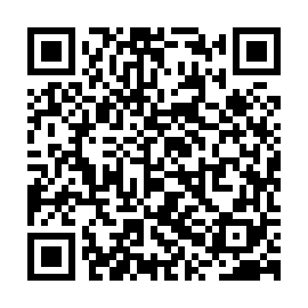 QR code for RPI868