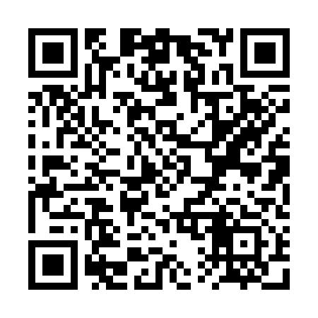 QR code for RQ0313