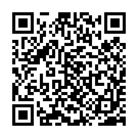 QR code for RQ3493
