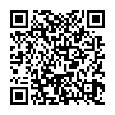 QR code for RQ4729