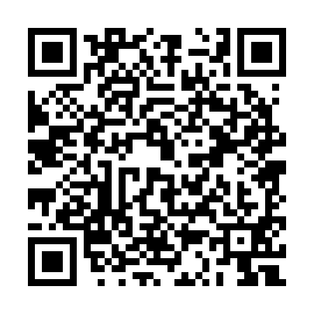 QR code for RS02919