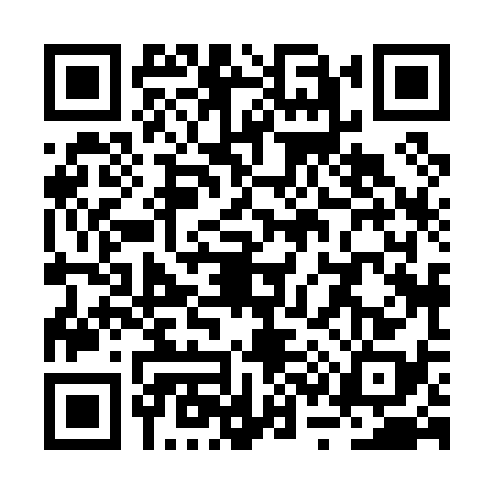 QR code for RS80382