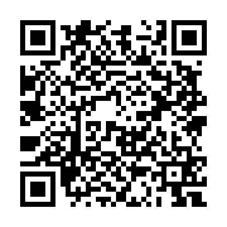QR code for RS94619