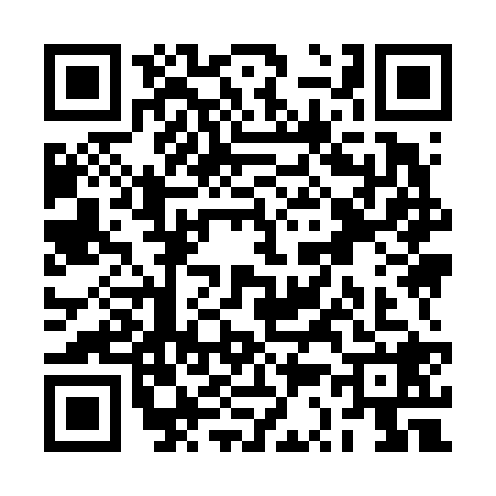 QR code for RS96287