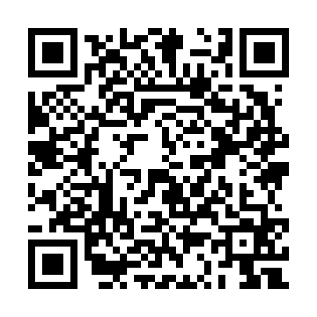 QR code for RS96646