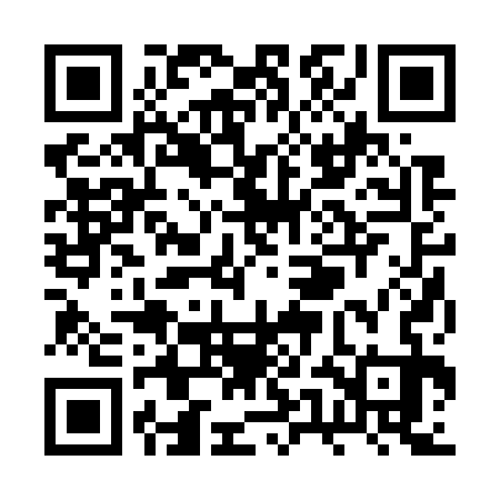 QR code for RUB733