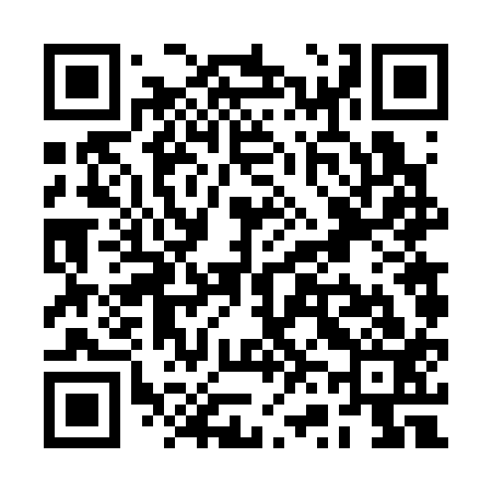 QR code for RV6313